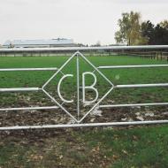 Weidentor mit Emblem Bv Dinslaken.jpg